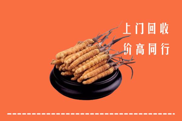 高价求购：黔东南回收散虫草